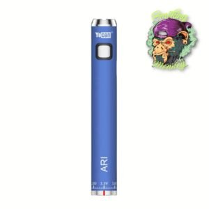 BATERIA YOCAN ARI 650 MHA
